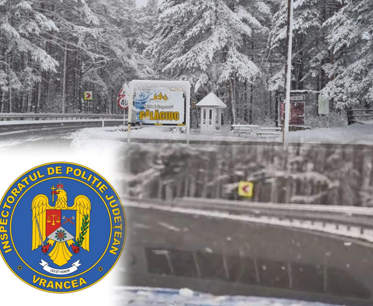 DN 2 D Lepsa Ojdula IPJ sigla logo drum polei iarna