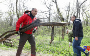 Halici si busteanul 2